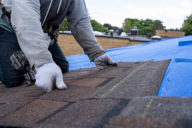 Best Roof Waterproofing Services  in Mayodan, NC